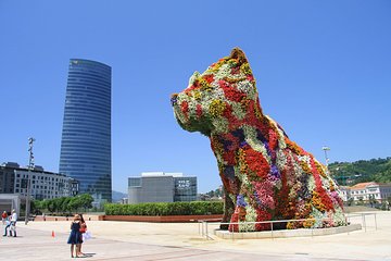 3-day Bilbao Bike Tour and Guggenheim Museum Ticket