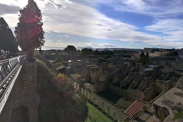 Private Day Tour: Herculaneum and Wine Tasting