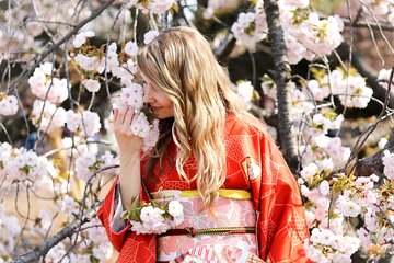 Private Kimono Photo Tour in Tokyo