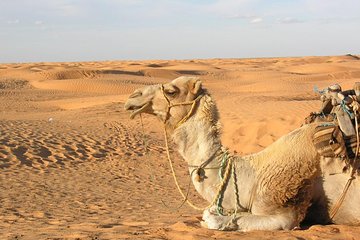 Door of the tunisian desert Ksar Ghilane and Matmata: Full one Day