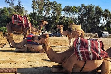 Tangier Private Day Tour