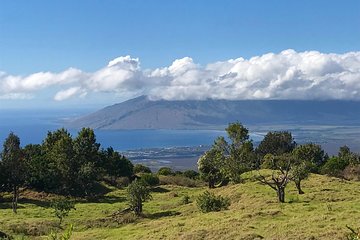 Private Upcountry Maui Tour