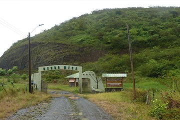 Day Trip to Cerro Mesa and Garrapatero from Puerto Ayora