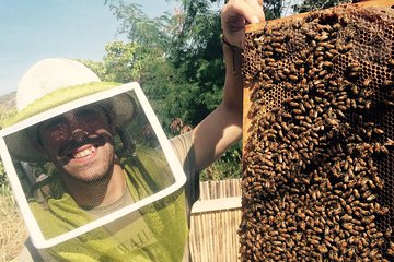 Experience Our Honey Farm And Beekeeping Tour