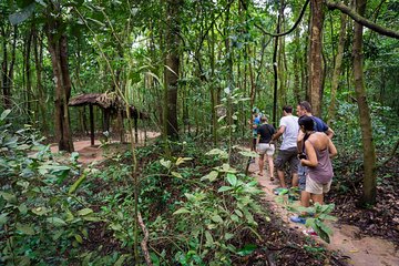 Cu Chi Tunnels and Mekong Delta 1 Day Tour With Small Group