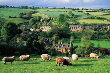 Our Famous North Cotswold Tour