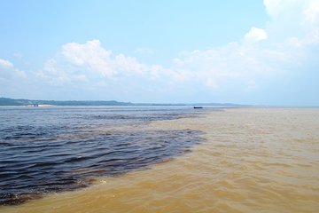 Amazon Negro River Half-Day Expedition Tour