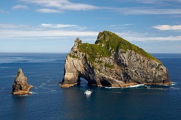 Private Tour: Bay of Islands Day Trip from Auckland