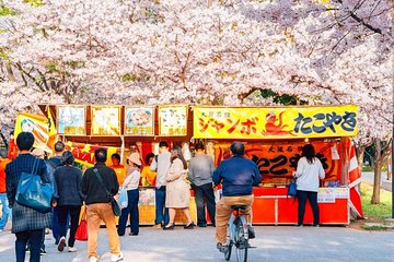 Osaka Spring Daytime (Cherry Blossom) Food Tour