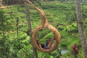 Private Ubud Tour Car Charter And Customs Itinerary