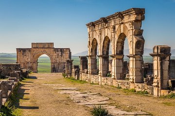 Ancient Ostia from Rome: Archaeology & History, Semi-Private Tour