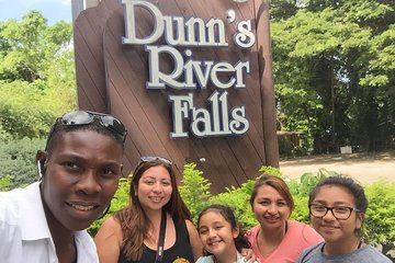 Dunn's River Falls and Jamaica Sightseeing Private Tour