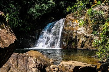 Private Day Trip: Sinharaja Rainforest Trek from Galle, Weligama & Mirissa