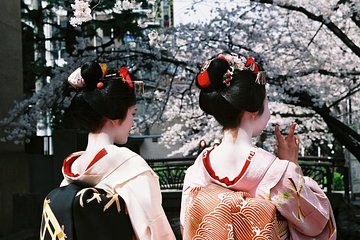 Kyoto Spring Evening (Cherry Blossom) Food Tour