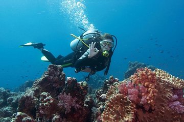 Scuba Diving Experience from Side