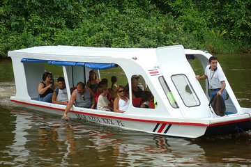 Tortuguero Canal Eco Cruise and Banana Plantation. Puerto Limon Shore Excursion