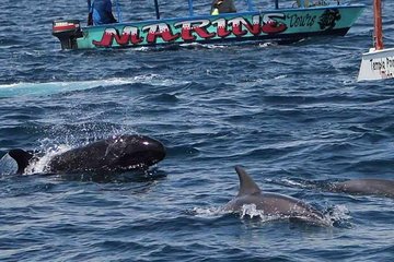 Watamu Marine Park & Sudi Island Mangrove Forest Canoe Ride.With sea food lunch