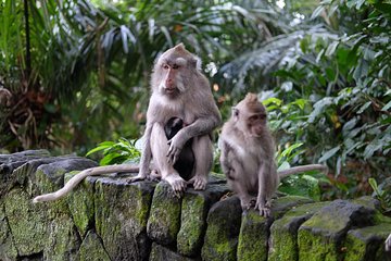 Private Shore Excursion: Ubud Art Villages and Sacred Monkey Forest