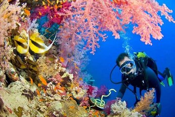 Diving Tour in Hurghada