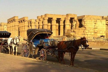 Aswan City Tour by Horse Carriage