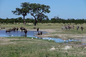 3 Day Chobe National Park Camping Tour