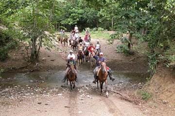 Horseback Riding River swimming From Bayahibe 