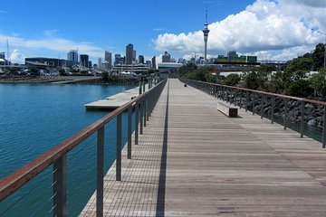 Auckland Tour with Guide (half-day)