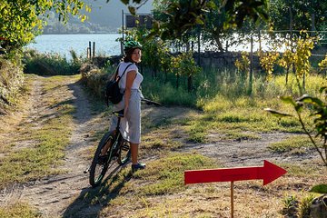 Naples Scenic pedal assisted Ride to a Local Vineyard with Meal