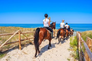 Horse Riding -Evening- in Paros