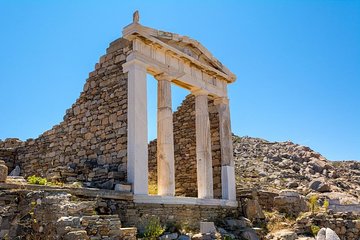 Delos and Mykonos One Day Cruise from Naxos