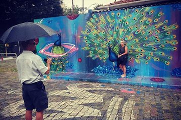 Private Street Art Tour of São Paulo with Batman´s Alley Visit