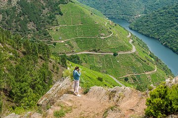 Ribeira Sacra, "Heroic Wines" Private Tour from Santiago