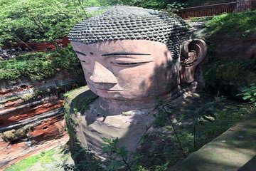 One Day Trip to Chengdu Panda Base and Leshan Buddha Tour