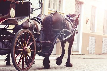 Aswan City Private Tour By Horse Carriage