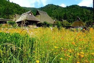 2 days Kyoto Miyama bike tour self guided