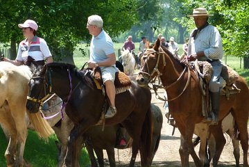 Private Day Tour to an Argentinian Estancia