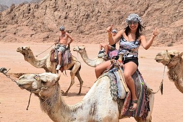 Camel Riding Tour in Sharm El Sheikh Desert