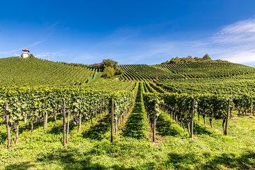 Loire Valley Pouilly and Sancerre Wine Tour with Tasting and Cheese