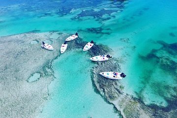 Key West Safari Eco Sandbar Tour Adventure with Snorkeling