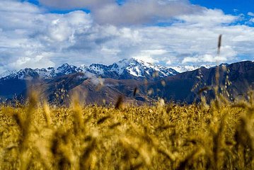 02 Day: Exploring Sacred Valley and Machu Picchu Private Service