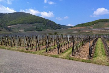 Private excursion: the best of Alsace in one day !