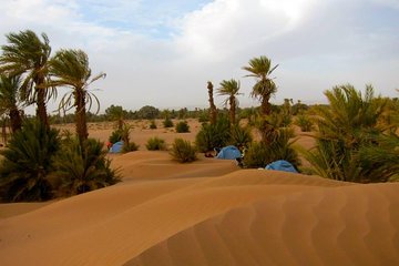 Marrakech Desert Tour to Zagora and Draa Valley and Palm Grove
