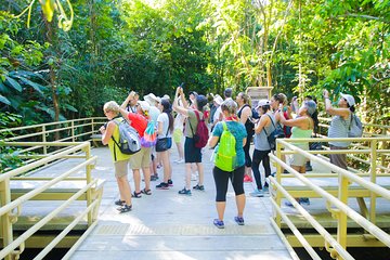 Manuel Antonio Park Tour