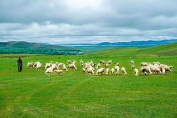 Private Transfer between Beijing and Bashang Grassland in Mulan Weichang