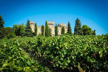 Chateauneuf du Pape wine tour