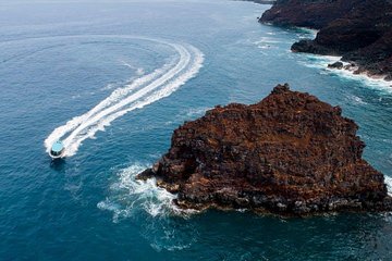 Small Group Snorkeling Expedition South Kona