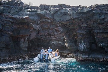 Deluxe Morning Snorkeling Adventure