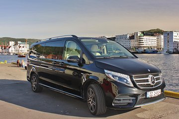 TRANSFER, LUXURY VAN 1-7 PAX: Bergen city transfer