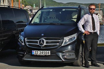 TRANSFER, LUXURY VAN 1-7 PAX: Bergen – Ulvik 