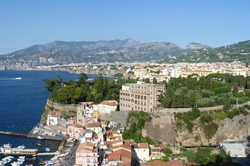  Naples to Sorrento or Positano with stop at Pompeii or Return